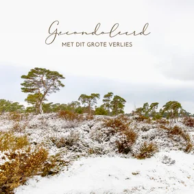Condoleancekaart sneeuwlandschap heide