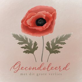 Condoleancekaart sterkte met geschilderde klaproos