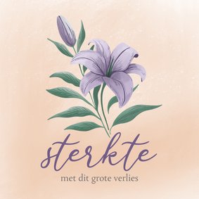 Condoleancekaart sterkte met paarse lelie