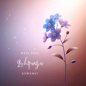 Condoleancekaart vergeet-mij-nietje in het licht symbolisch