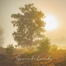 Condoleancekaart zonsopkomst heide