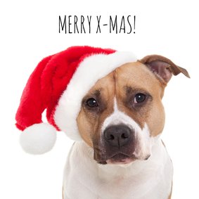 Dieren kerstkaart - Hond - Merry