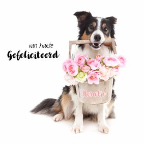 Dieren verjaardagskaart - Border Collie Bloemen