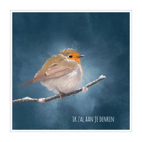 Dierenkaart roodborst in pastel