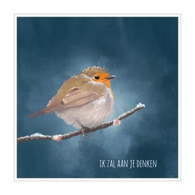 Dierenkaart roodborst in pastel