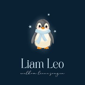  Donker blauw geboortekaartje met schattige baby pinguin