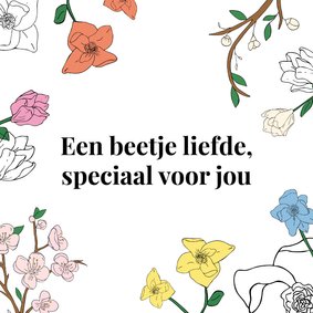 Een beetje liefde van Norah voor jou