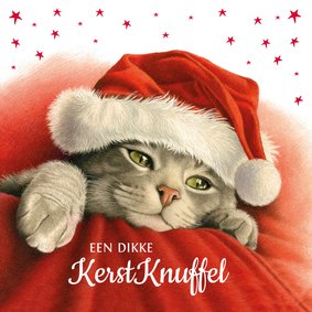 Een dikke kerstknuffel van deze lieve kerstkat