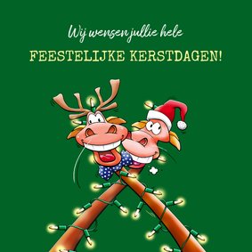 Een verdraaid leuke kerstkaart 2 rendieren kerstverlichting