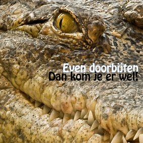 Even doorbijten kroko 4K