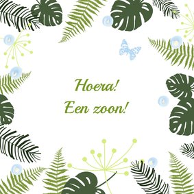 Felicitatie - Botanisch jongen