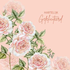 Felicitatie botanische rozen