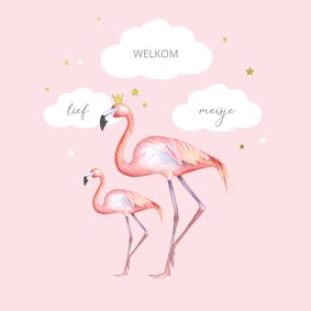 Felicitatie flamingo geboorte