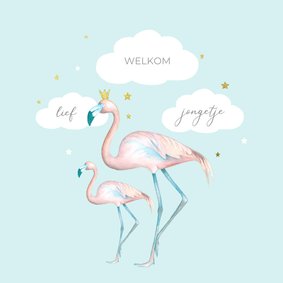 Felicitatie flamingo jongen