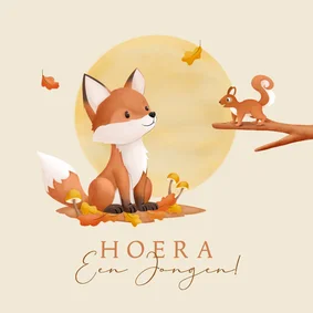 Felicitatie geboorte bosdieren illustratie vosje en eekhoorn