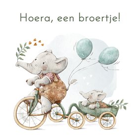 Felicitatie geboorte broertje met olifantjes op de fiets