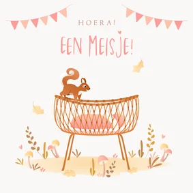 Felicitatie geboorte dochter met rotan wiegje en eekhoorn