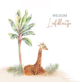 Felicitatie geboorte giraffe