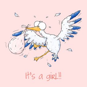 Felicitatie geboorte grappige ooievaar It's a girl!