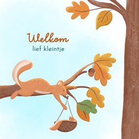 Felicitatie geboorte jongen eekhoorn met baby in bos