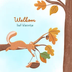 Felicitatie geboorte jongen eekhoorn met baby in bos