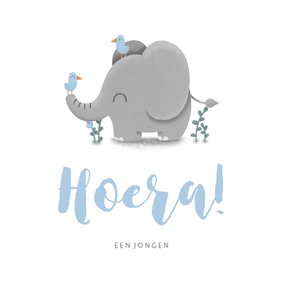 Felicitatie geboorte jongen met lieve olifant en vogeltjes