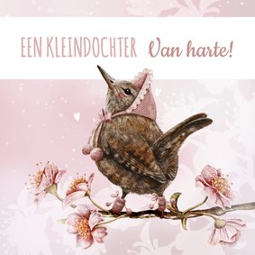 Felicitatie geboorte kleindochter vogeltje op bloesemtak