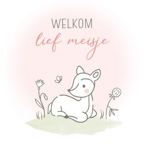 Felicitatie geboorte - liggend hertje meisje