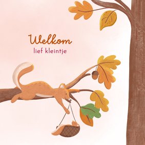 Felicitatie geboorte meisje eekhoorn met baby in bos