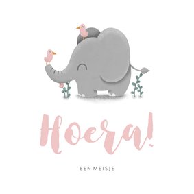 Felicitatie geboorte meisje met lieve olifant en vogeltjes