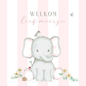 Felicitatie geboorte - meisje olifant roze strepen