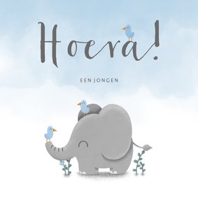 Felicitatie geboorte met waterverf, vogeltjes en olifant