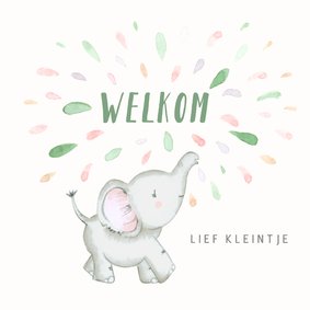 Felicitatie geboorte - olifant met gekleurde spetters