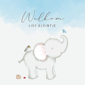 Felicitatie geboorte - olifant met vlinder jongen