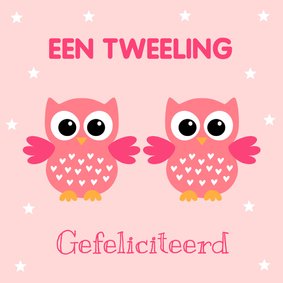 Felicitatie geboorte tweeling meisjes uiltjes