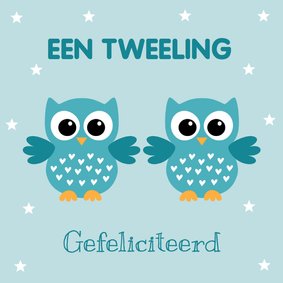 Felicitatie geboorte tweeling uiltjes jongens