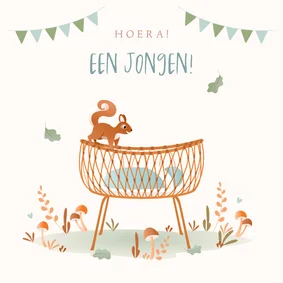 Felicitatie geboorte zoon met rotan wiegje en eekhoorn