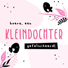 Felicitatie hoera een kleindochter met vogeltjes