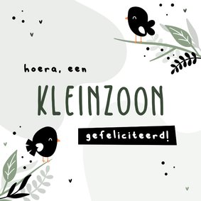 Felicitatie hoera een kleinzoon met vogeltjes