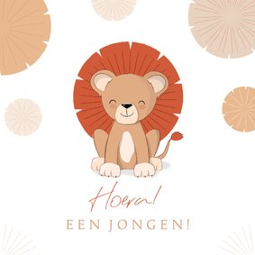 Felicitatie illustratie leeuwtje met manen geboorte jongen