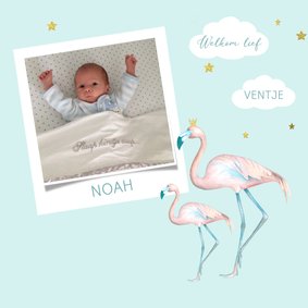 Felicitatie jongen flamingo foto