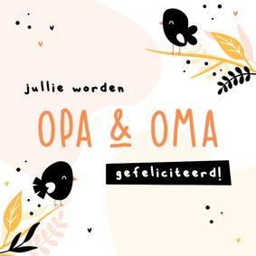 Felicitatie jullie worden opa en oma met vogeltjes