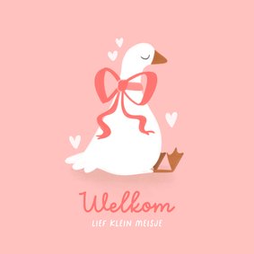 Felicitatie kaart geboorte lief klein eendje met strik roze