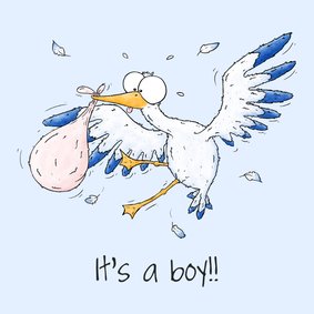 Felicitatie kaartje geboorte grappige ooievaar It's a boy