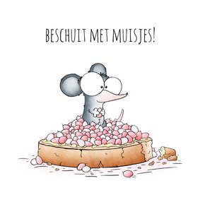 Felicitatie kaartje meisje beschuit met muisjes