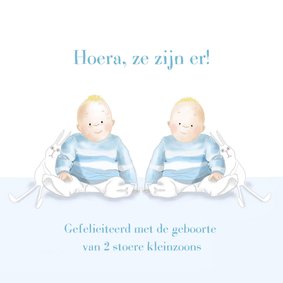 Felicitatie - Kleine jongens met konijntjes