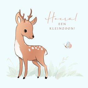 Felicitatie kleinzoon prachtige illustratie hert met gewei