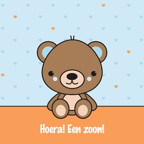 Felicitatie - Lief beertje, jongen