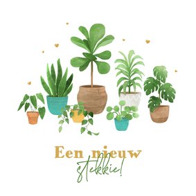 Felicitatie nieuw stekkie planten hartjes verhuisdoos