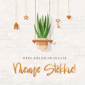 Felicitatie nieuwe woning hangplantje op witte stenen muur
